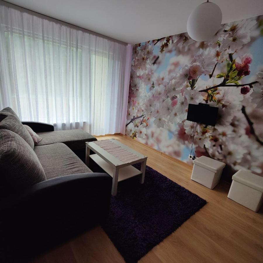 Dainai Apartament Šiauliai Екстериор снимка